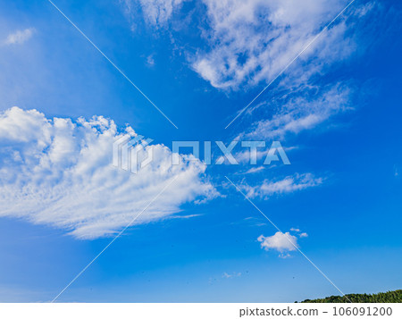 千葉印幡沼盛夏景色 千葉印幡沼盛夏景色 106091200