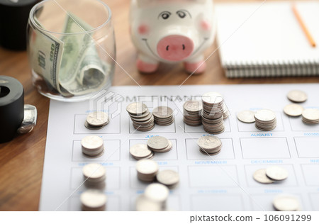 Coins and piggy bank lie on home finance form Coins and piggy bank lie on home finance form 106091299