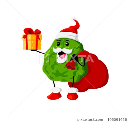 Cartoon Christmas ripe raw bergamot or kaffir fruit Santa Claus character carries gift box and bag. Isolated vector xmas Father Noel tropical fruit personage deliver presents, festive spirit and joy Cartoon Christmas ripe raw bergamot or kaffir fruit Santa Claus character carries gift box and bag. Isolated vector xmas Father Noel tropical fruit personage deliver presents, festive spirit and joy 106091636