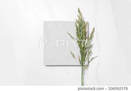 Flat lay cosmetics skin care product presentation scene and display made with square podium and summer grass. Flat lay cosmetics skin care product presentation scene and display made with square podium and summer grass. 106092576