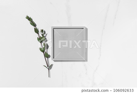 Beauty cosmetics product presentation flat lay mockup scene with square shape and eucalyptus branch on white marble table with copy space. Trendy sunlight,  top view. 106092633