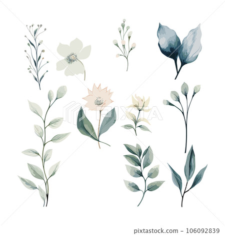 Hand drawn watercolor flower set. Herbs, wildflowers and spices. Branches, leaves, herbs, wild plants, flowers. Vector Illustration EPS10 106092839