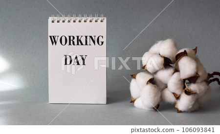 On a blue background a calendar with the text Workday, next to a cotton branch On a blue background a calendar with the text Workday, next to a cotton branch 106093841