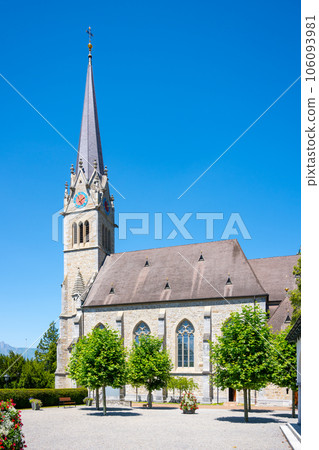 Cathedral of St. Florin, neo-gothic church in Vaduz, Liechtenstein 106093981