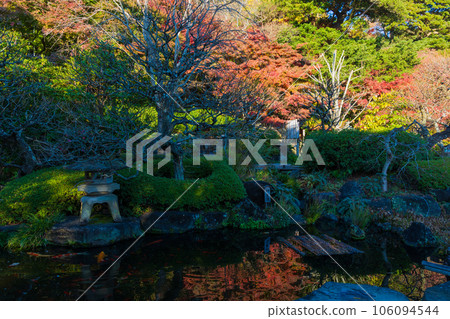 Kamakura, the ancient capital of late autumn, Hase-dera Temple with autumn leaves, Myochi Pond 106094544