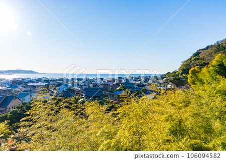 鎌倉,深秋的古都,秋葉中的長谷寺,從風景優美的步行道上欣賞 鎌倉,深秋的古都,秋葉中的長谷寺,從風景優美的步行道上欣賞 106094582