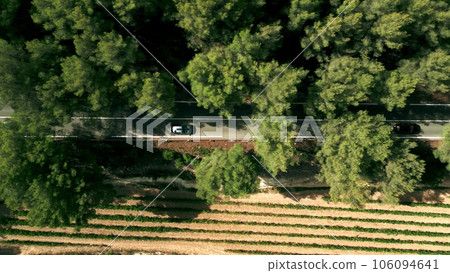 Aerial top down view of a cars driving along rural road at vineyards in Saint-Tropez. Summer vacation time Aerial top down view of a cars driving along rural road at vineyards in Saint-Tropez. Summer vacation time 106094641