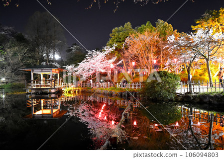 在高岡老城堡公園的櫻桃樹 106094803