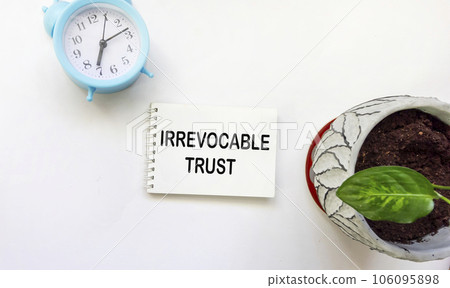 SAFE TRUST text on notepad with clock and flower on white background 106095898