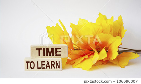 Time to Learn, text on wooden blocks, near a maple branch on a white background. Time to Learn, text on wooden blocks, near a maple branch on a white background. 106096007
