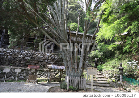岐阜縣關市日龍布寺（高澤觀音） 106096137