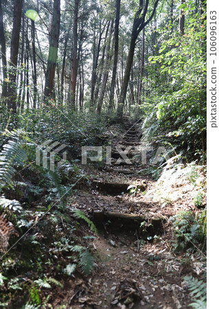 岐阜縣關市日龍布寺（高澤觀音） 106096163