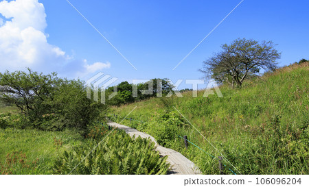 夏季的霧峰屋島濕地,橫跨長野縣諏訪市周邊各市町村 夏季的霧峰屋島濕地,橫跨長野縣諏訪市周邊各市町村 106096204