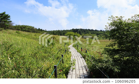 夏季的霧峰屋島濕地,橫跨長野縣諏訪市周邊各市町村 夏季的霧峰屋島濕地,橫跨長野縣諏訪市周邊各市町村 106096205