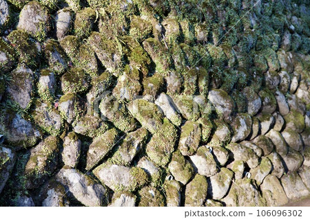 長滿苔蘚的石牆 106096302