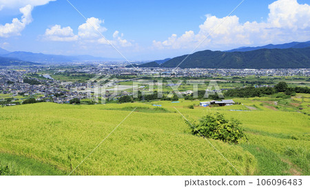 The rice terraces of Obasute, which has been fruitful 106096483