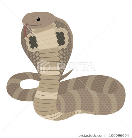 眼鏡蛇圖 眼鏡蛇圖 106096694