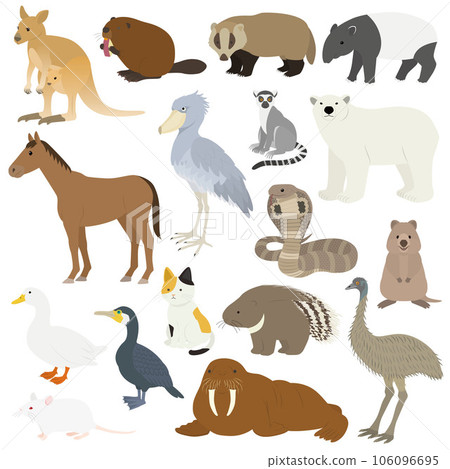 Animal illustration set Animal illustration set 106096695