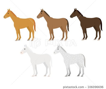 horse hair illustration 106096696