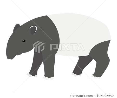 馬來貘圖 106096698