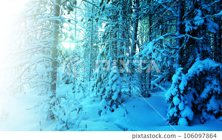 Winter landscape 106097864