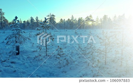 Winter snowy forest at sunset. 106097883