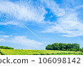 Sunflower field and blue sky 106098142