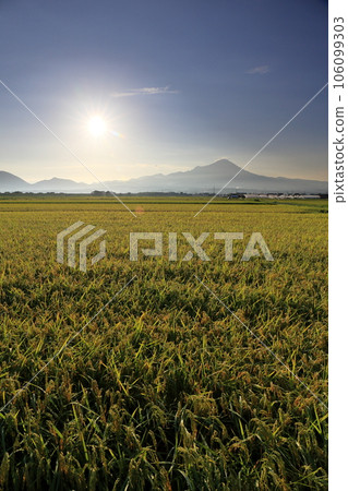 Beautiful summer rural landscape with Mt. Houki Daisen in Tottori Prefecture and green rice plants under the blue sky Beautiful summer rural landscape with Mt. Houki Daisen in Tottori Prefecture and green rice plants under the blue sky 106099303