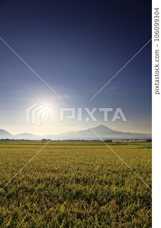 Beautiful summer rural landscape with Mt. Houki Daisen in Tottori Prefecture and green rice plants under the blue sky Beautiful summer rural landscape with Mt. Houki Daisen in Tottori Prefecture and green rice plants under the blue sky 106099304