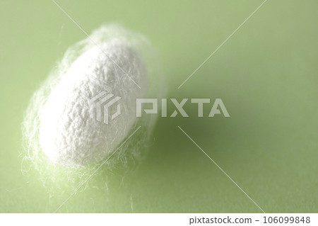 White cocoon balls produced by silkworms White cocoon balls produced by silkworms 106099848