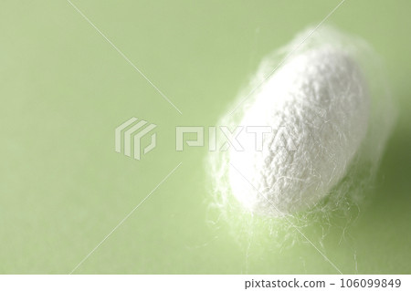 White cocoon balls produced by silkworms White cocoon balls produced by silkworms 106099849