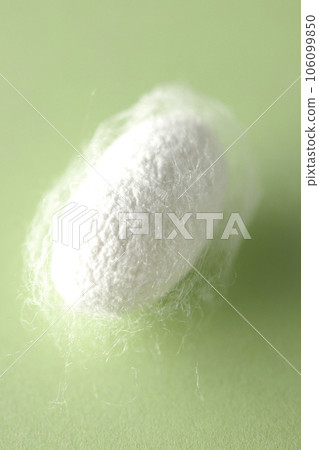 White cocoon balls produced by silkworms White cocoon balls produced by silkworms 106099850