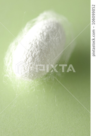White cocoon balls produced by silkworms White cocoon balls produced by silkworms 106099852