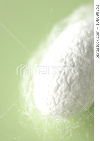 蠶生產的白色繭球 106099853