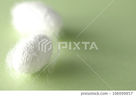 White cocoon balls produced by silkworms 106099857