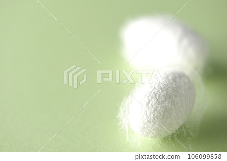 蠶生產的白色繭球 106099858