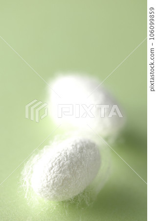 White cocoon balls produced by silkworms White cocoon balls produced by silkworms 106099859