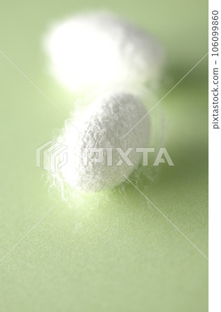 White cocoon balls produced by silkworms White cocoon balls produced by silkworms 106099860