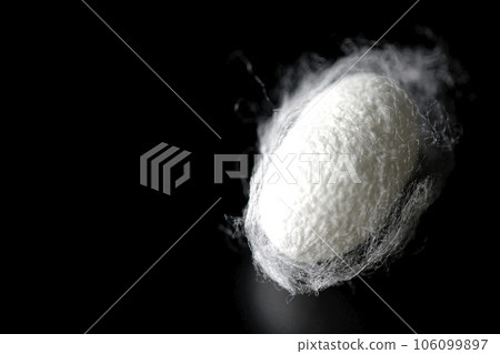 在黑色背景下拍攝蠶產生的白色繭球 106099897