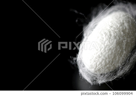 Photographing white cocoon balls produced by silkworms against a black background Photographing white cocoon balls produced by silkworms against a black background 106099904