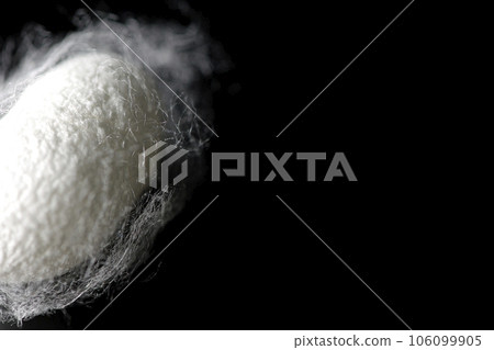 Photographing white cocoon balls produced by silkworms against a black background Photographing white cocoon balls produced by silkworms against a black background 106099905