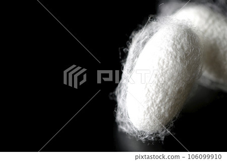 在黑色背景下拍攝蠶產生的白色繭球 106099910