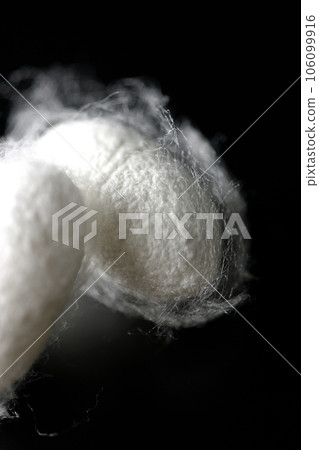在黑色背景下拍攝蠶產生的白色繭球 106099916