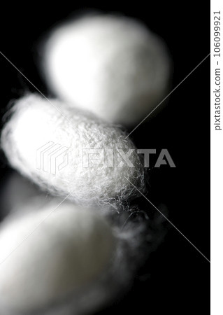 在黑色背景下拍攝蠶產生的白色繭球 106099921