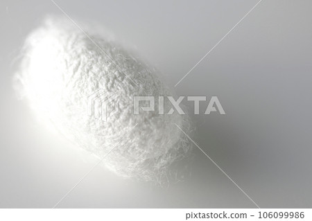 Photographing a white cocoon ball produced by silkworms against a white background 106099986