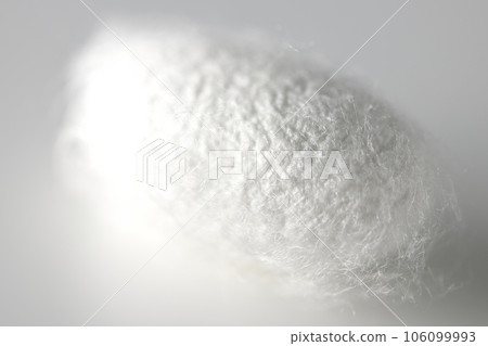 在白色背景下拍攝蠶產生的白色繭球 106099993