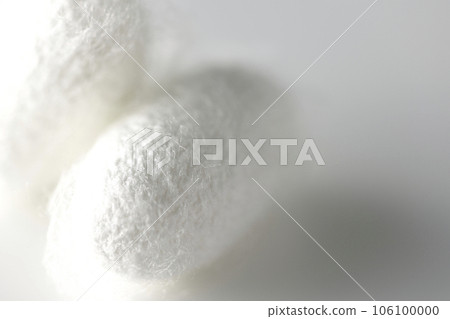 Photographing a white cocoon ball produced by silkworms against a white background Photographing a white cocoon ball produced by silkworms against a white background 106100000