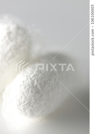 Photographing a white cocoon ball produced by silkworms against a white background 106100005