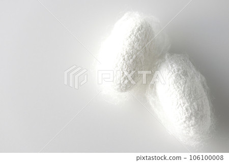 Photographing a white cocoon ball produced by silkworms against a white background Photographing a white cocoon ball produced by silkworms against a white background 106100008