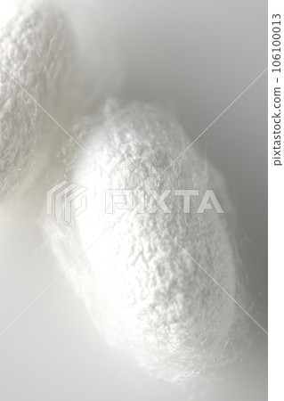Photographing a white cocoon ball produced by silkworms against a white background 106100013